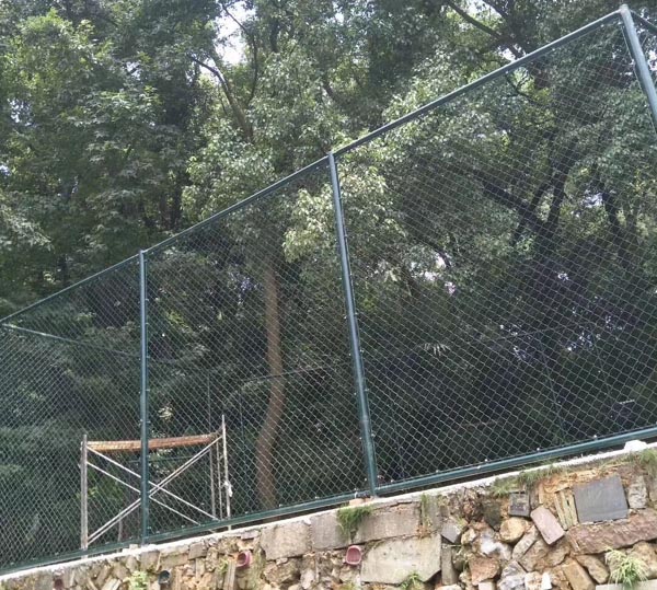 �w�����o�ھW(w��ng)