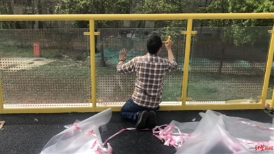 護欄網(wǎng)價格 護欄網(wǎng)價格