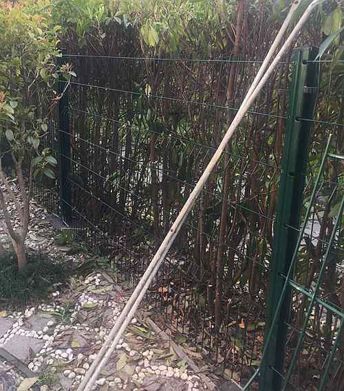 �������o�ھW(w��ng)�r��