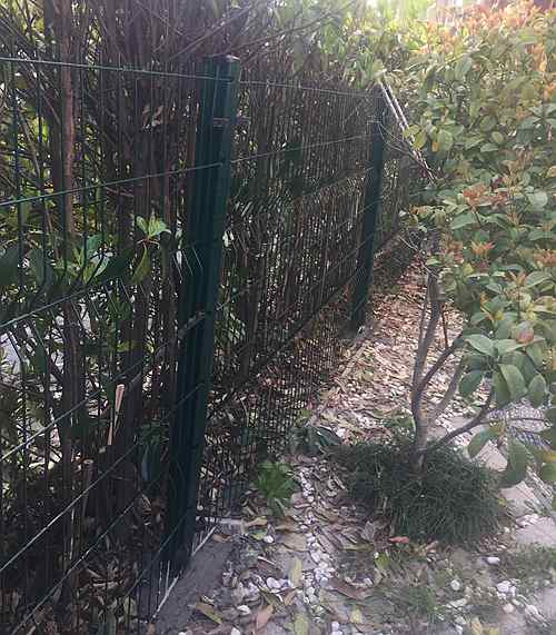 �������o�ھW(w��ng)