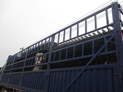 鋅鋼圍墻護欄 鋅鋼圍墻護欄